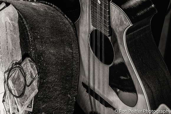 The Mandolin Case
