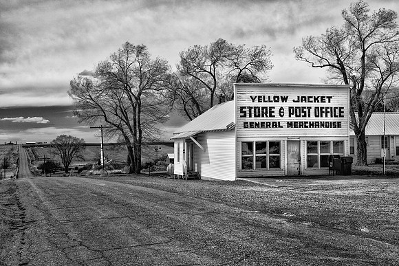 Yellow Jacket