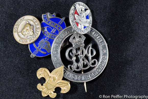 Family Pin Collection