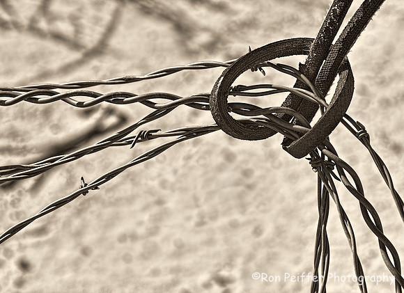 Holding Back the Barbwire