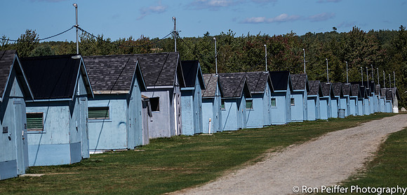 Blueberry Houses