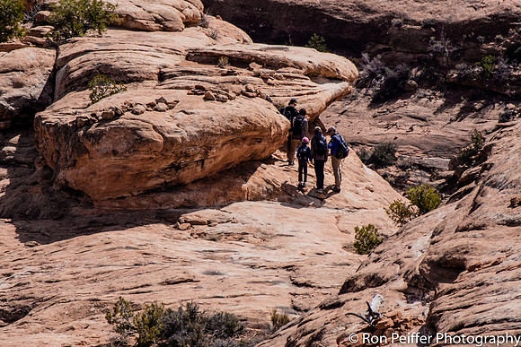 Citadel Hikers