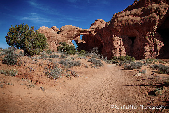 Trail to Double Arch