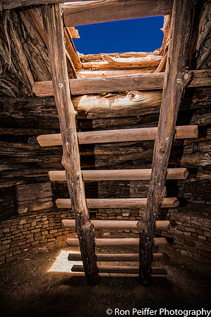 Kiva Ladder