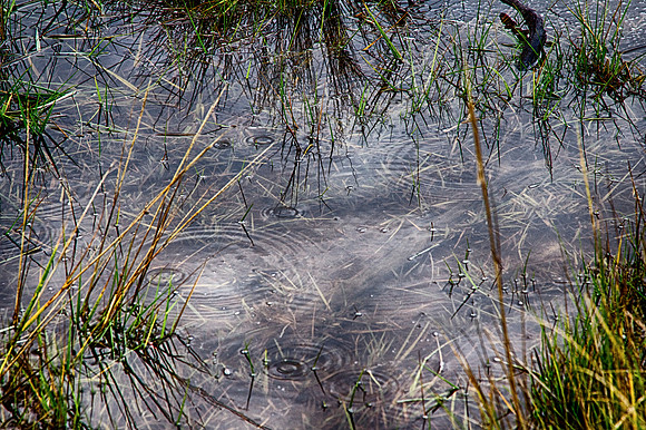 IMG_1296_HDR