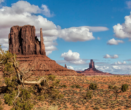 Monument Valley View