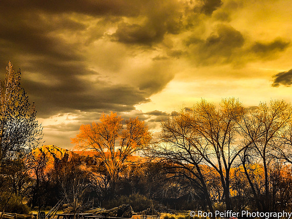 Cottonwood Sunset