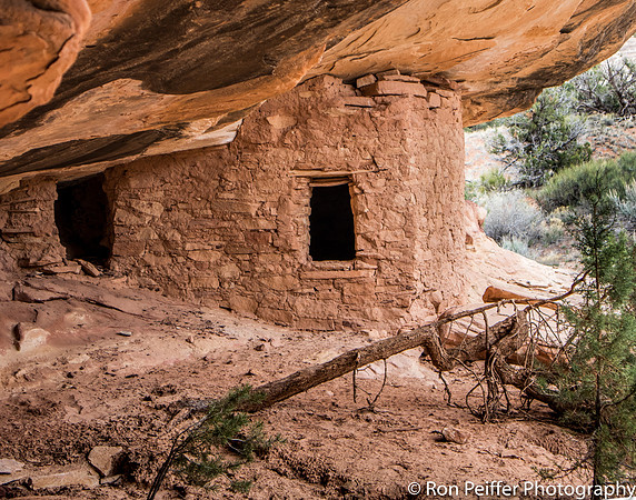 Ancient Shelter