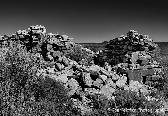 Coyote Flats-2