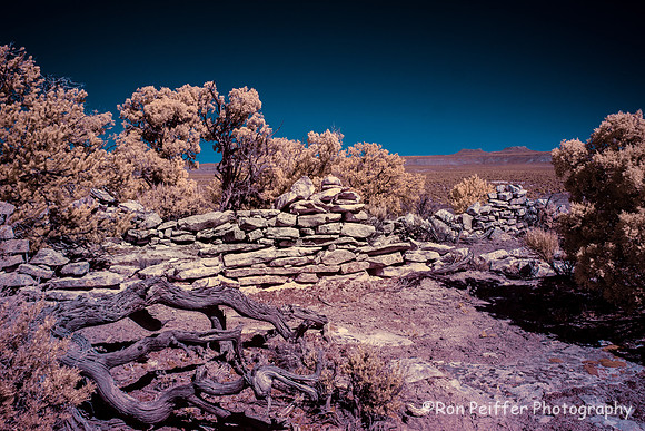 Coyote Flats-3