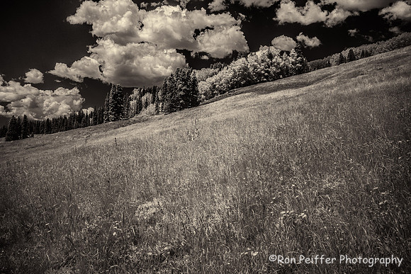 ColoradoIR16-8