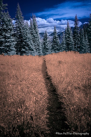 ColoradoIR16-10