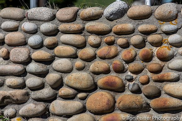 Bar Harbor Wall