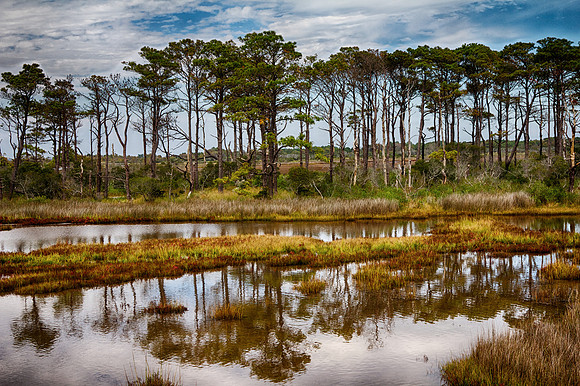 IMG_1275_HDR