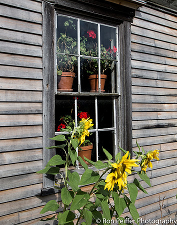 Maine0916-3-4