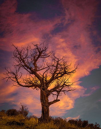 Trailside Sunset