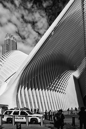 Oculus