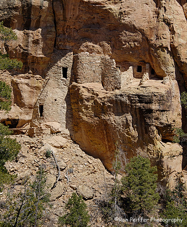 Pine Tree Ruin