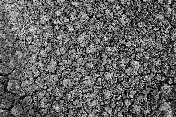 Mud Pattern