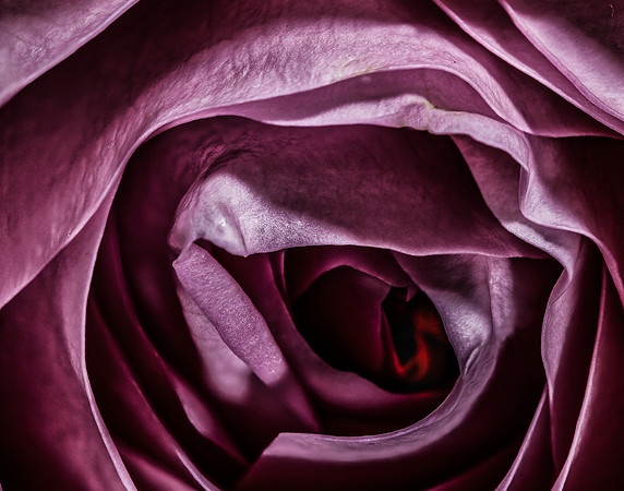 The Inner Soul
