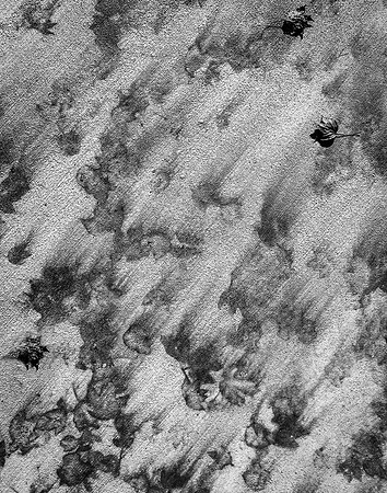 November Winds