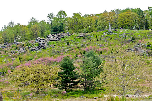 Little Roundtop
