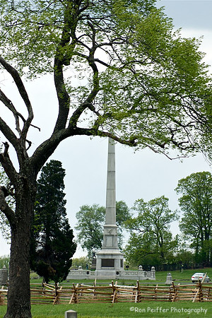 Honoring the Fallen