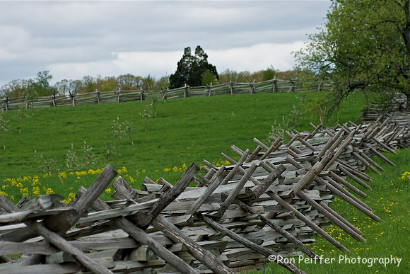 Battlefield Fences