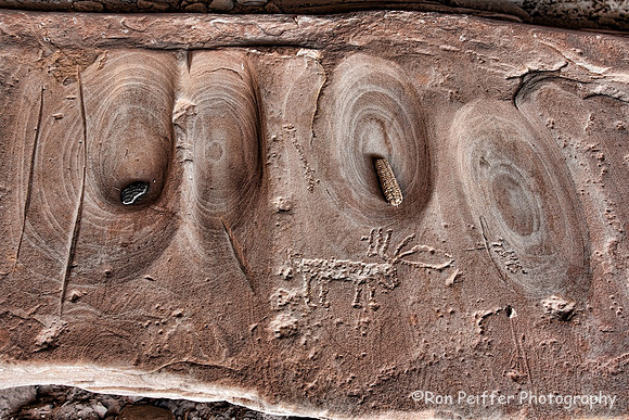 Elk Metate