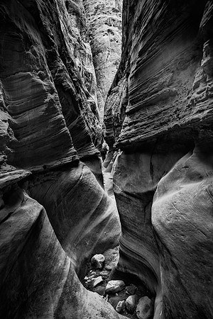 LittleWildHorse0418