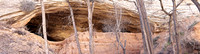 Butler Wash Cave2