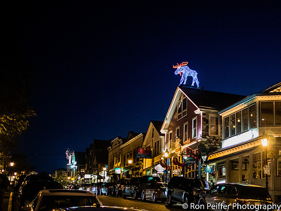 Moose on Top