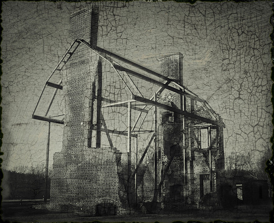 SERC Ruins