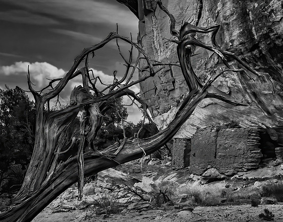 Grand Gulch Ruin