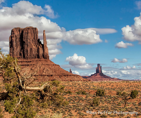 Monument Valley View