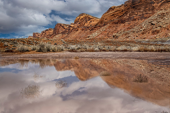 Comb Ridge Reflections