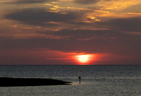 OBX 2025