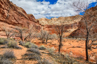 Horseshoe0318-8