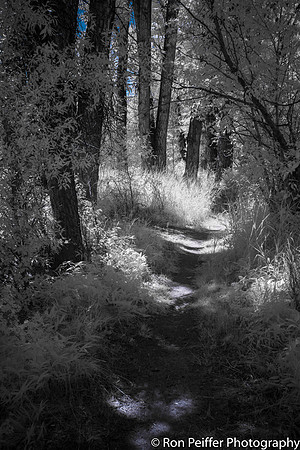 Gunnison Trail
