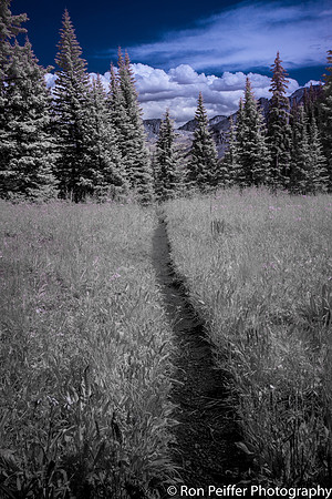 IMG_2917-Edit-2