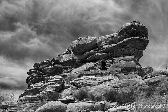 The Lookout