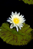 DSC04614