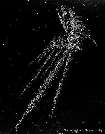 Crystalline Void