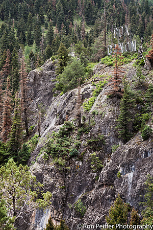 Box Canyon, In Case You Missed It