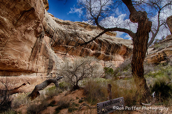 IMG_0995_HDR