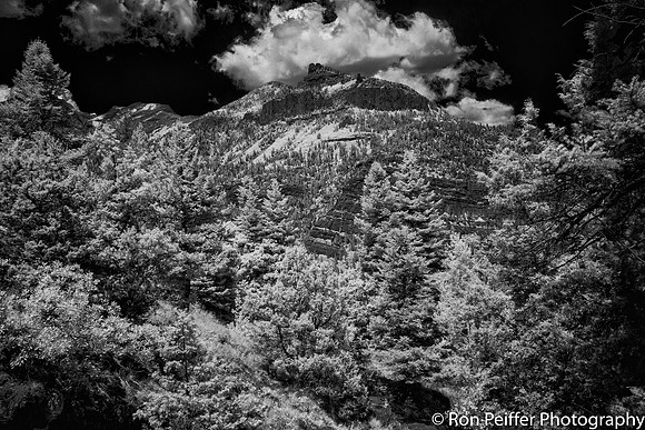IMG_2888-Edit-Edit
