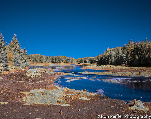 Low Tide 2