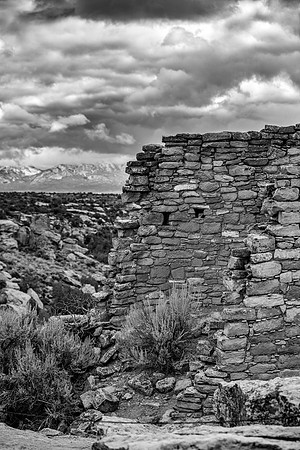 Hovenweep Tower