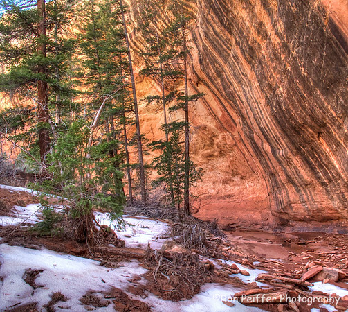The Remnants of Winter