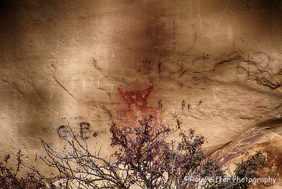 IMG_2160_HDR